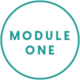Module one