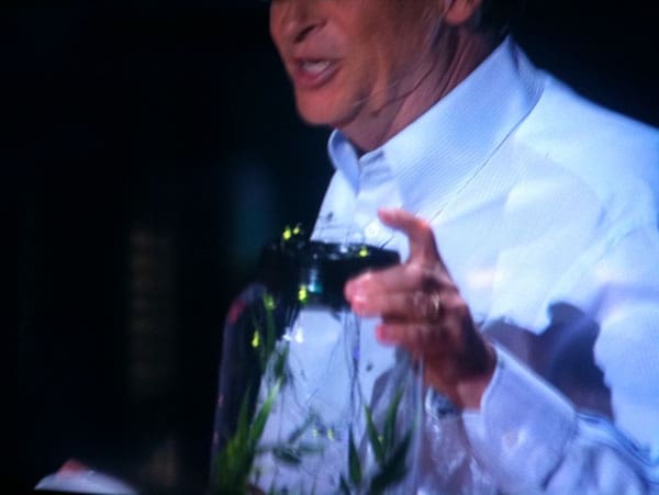 Bill Gates releases fireflies to the audience