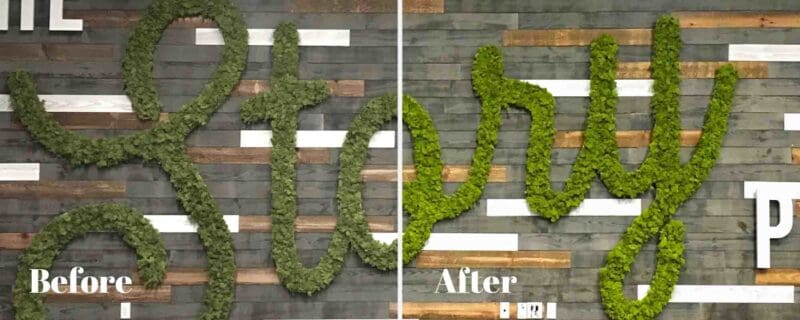 How to edit photo brightness contrast and saturation in powerpoint header